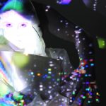 die-segel-
