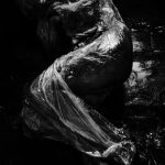 copyright . SIMONA SHARAFUDINOV