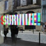 survive 16-25 juin 2017 /  Crédits photos Mr Vincent