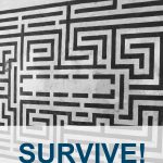 visuel couv survive
